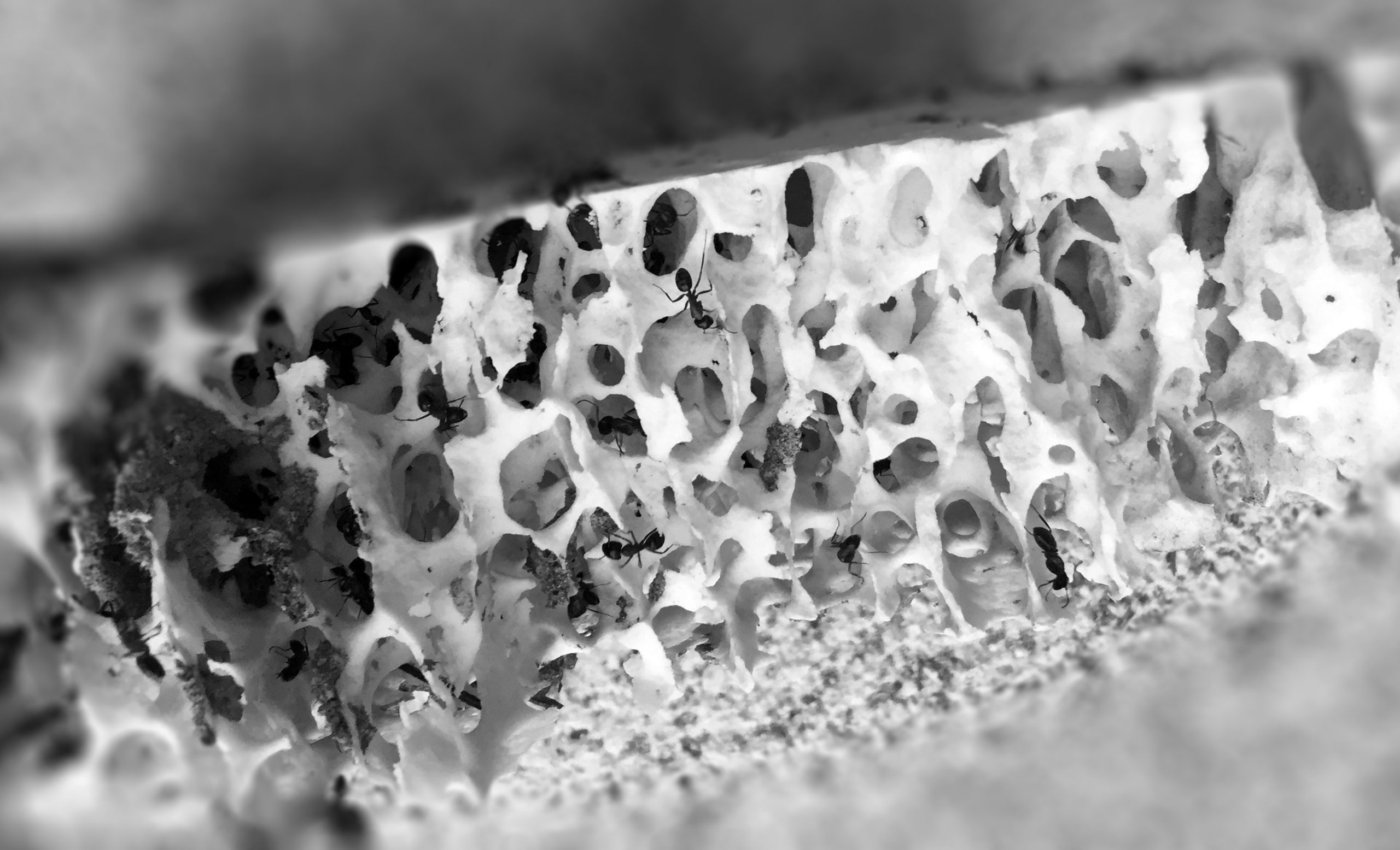 Darum dämmen wir mit Schaumglas Darum dämmen wir mit Schaumglas