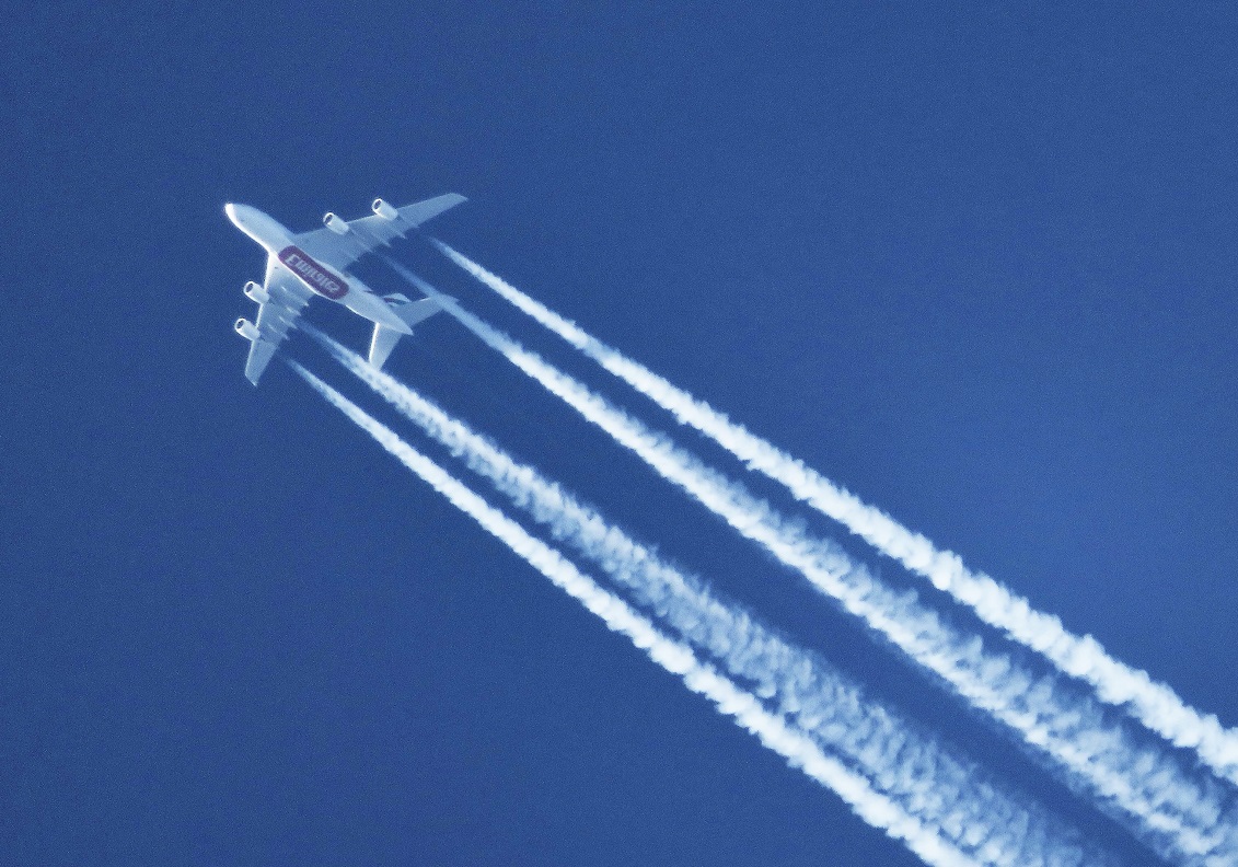 Wohnen in Holz kompensiert 50 Flüge nach Mallorca Wohnen in Holz kompensiert 50 Flüge nach Mallorca