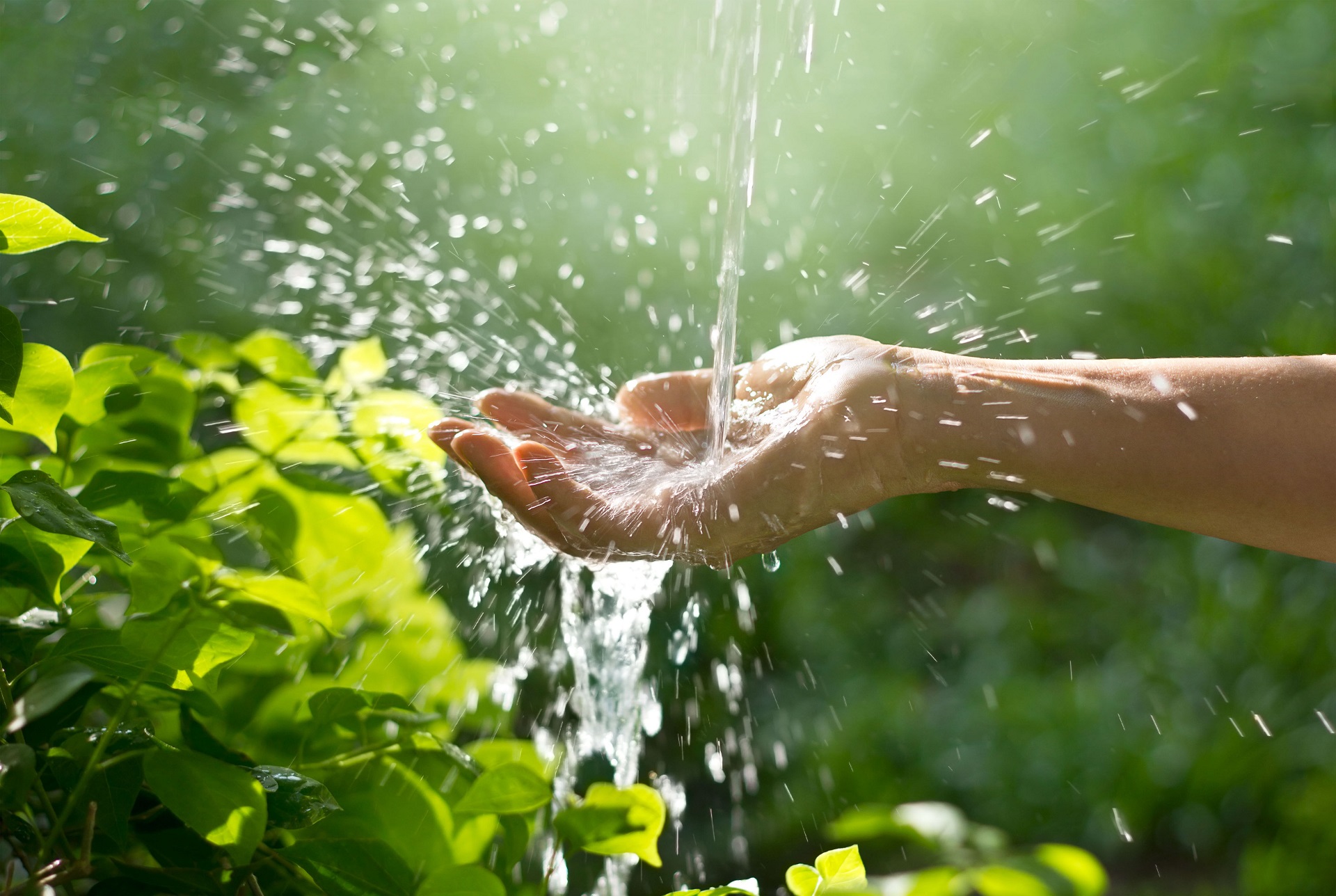 Gartenbewässerung mit Regenwasser Gartenbewässerung mit Regenwasser